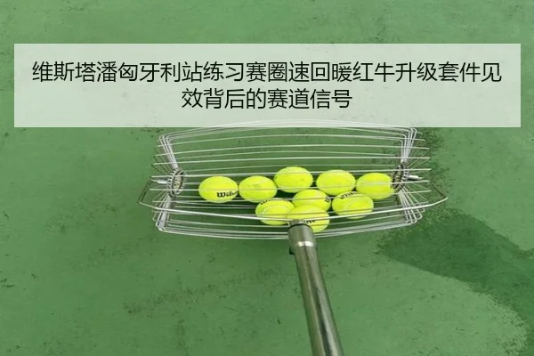 维斯塔潘匈牙利站练习赛圈速回暖红牛升级套件见效背后的赛道信号